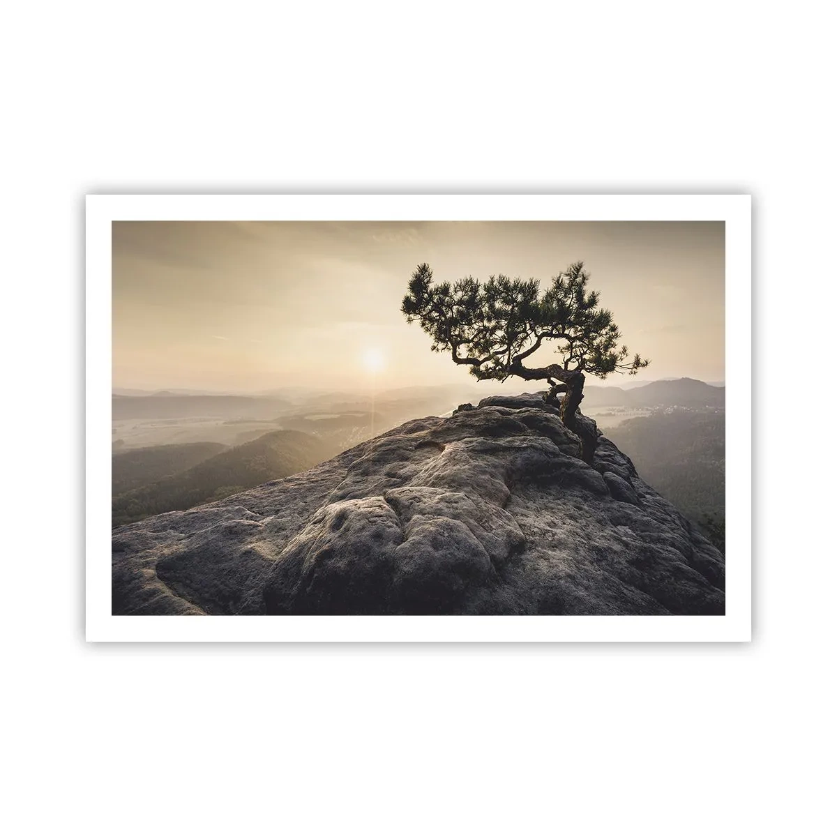 Plakat - Livet vinder altid - 91x61 cm