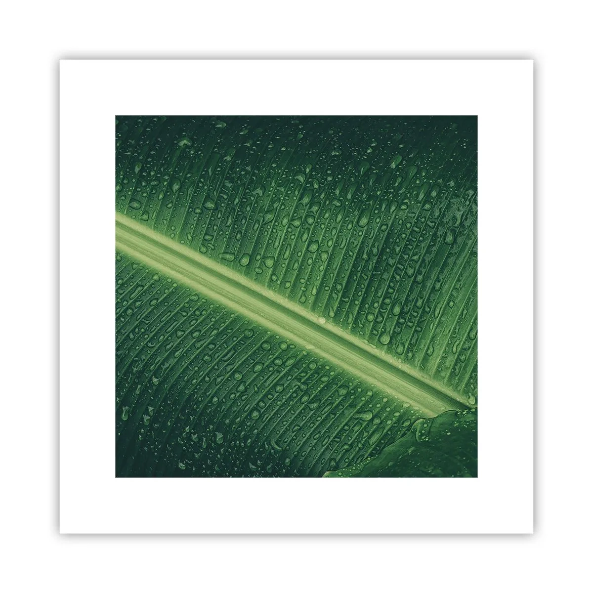 Plakat - Grøn struktur - 30x30 cm