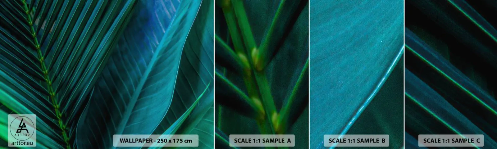 Fototapet Prøve Standard Eco - Anatomi af en grøn - Grønne blade, Tropisk plante, Natur - 100x30 cm