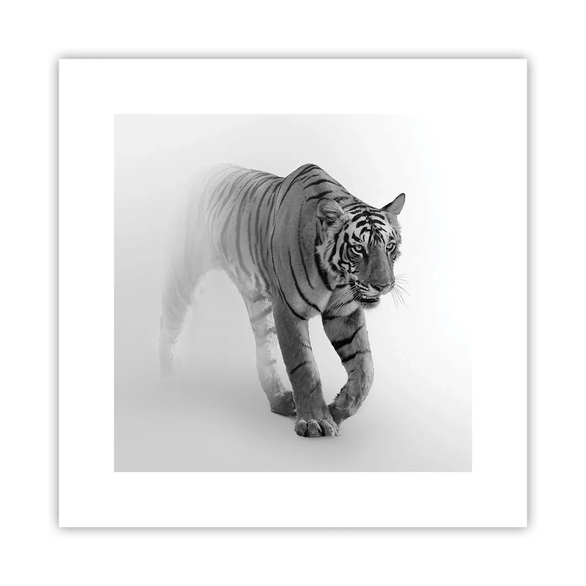 Plakat - Krybende i tågen - 30x30 cm