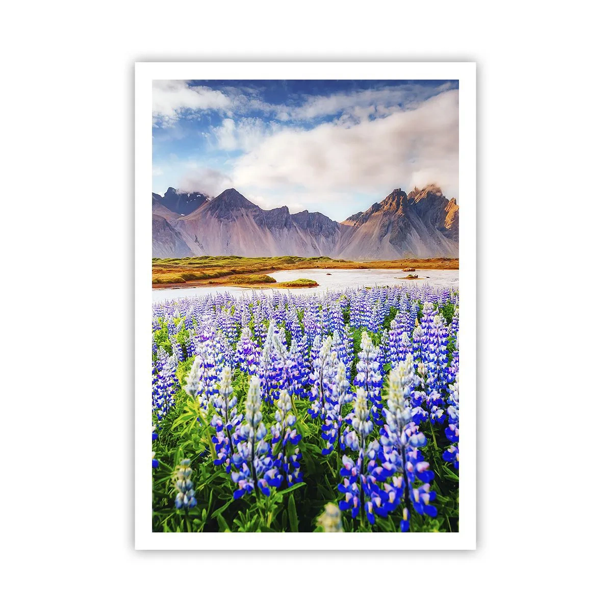 Plakat - Styrke og strenghed ved siden af blidhed - 70x100 cm