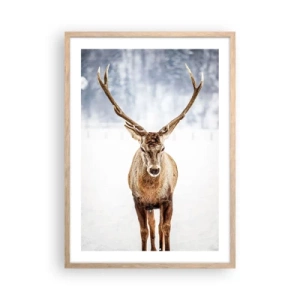 Plakat i ramme af lyst egetræ - Lige ud af snedisen - 50x70 cm