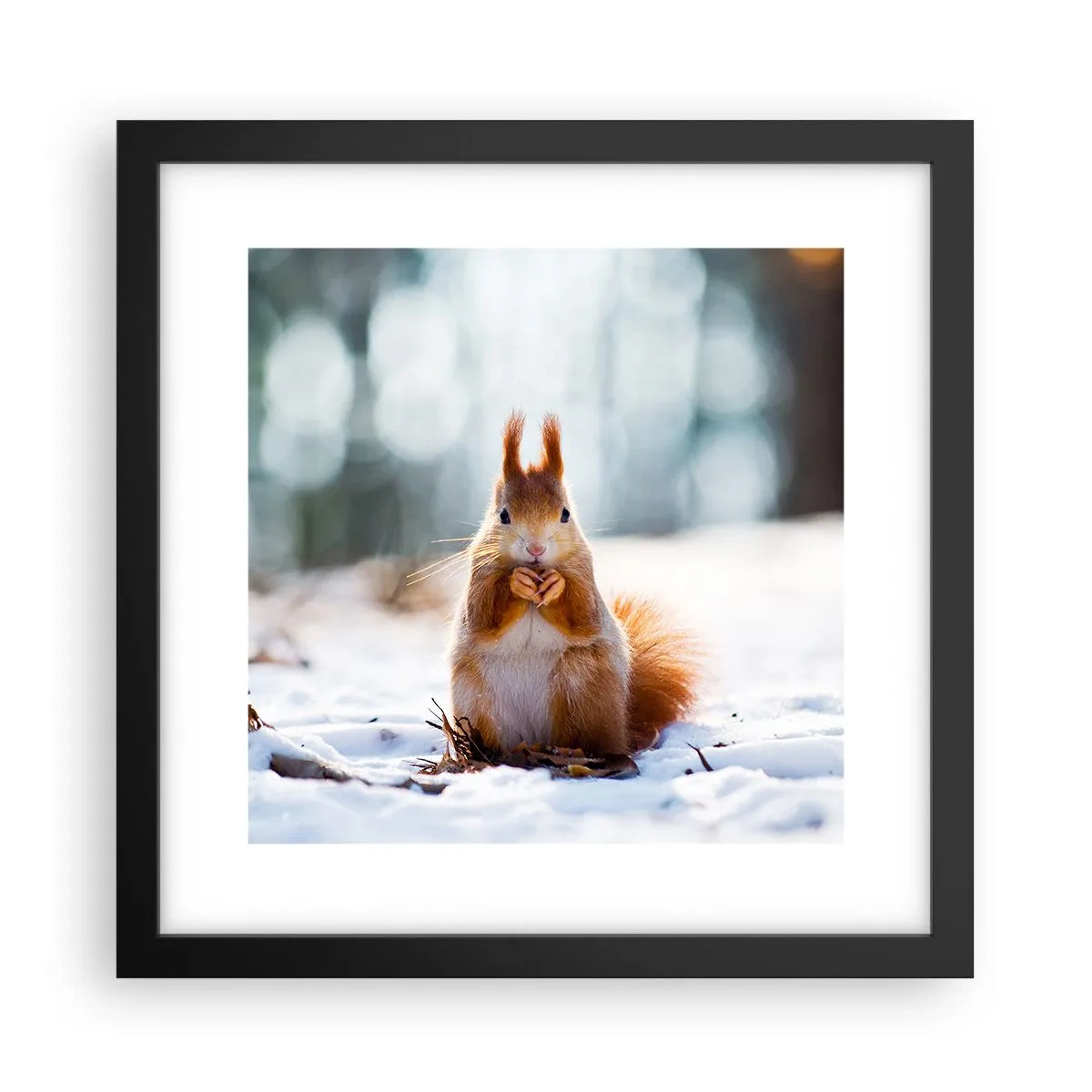Plakat i sort ramme - Og hvad kigger du på? - 30x30 cm