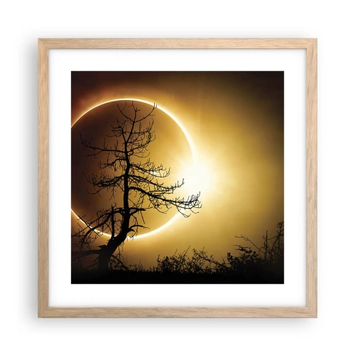Plakat i ramme af lyst egetræ - Total formørkelse - 40x40 cm