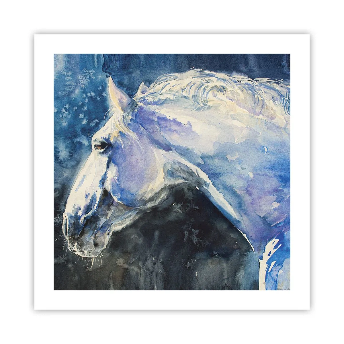 Plakat - Portræt i et blåt skær - 50x50 cm