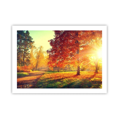 Plakat - Rød er smuk - 70x50 cm