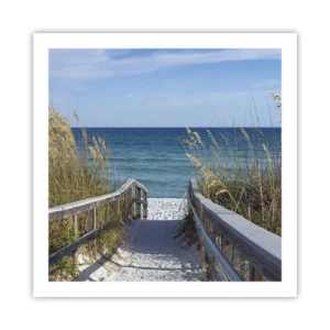 Plakat - I solen, i vinden - 60x60 cm