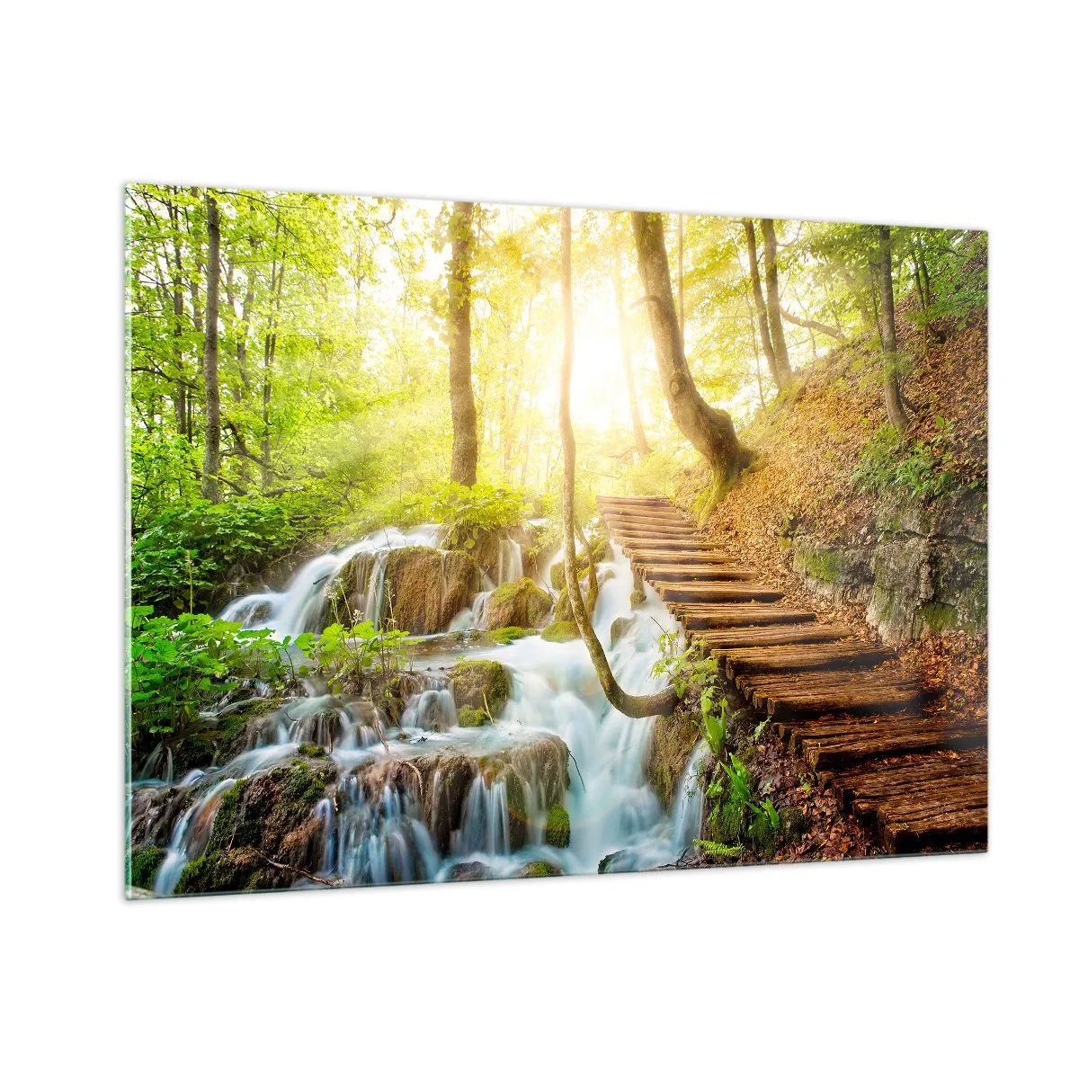 Billede på glas - Den ønskede kølighed - 100x70 cm