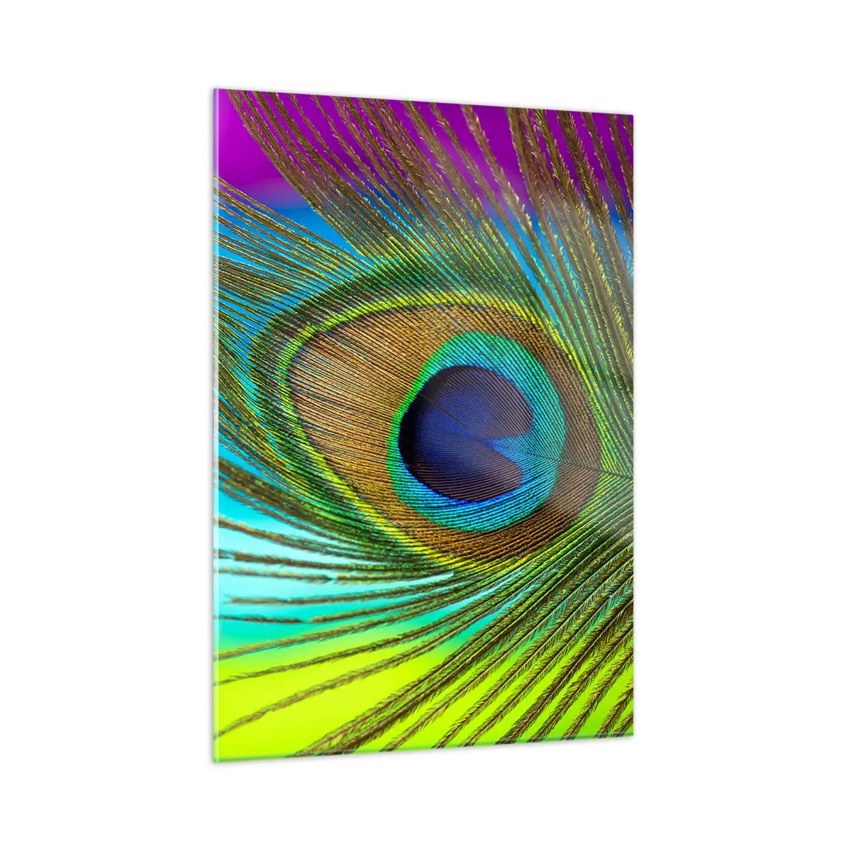 Billede på glas - Øje mod øje - 50x70 cm