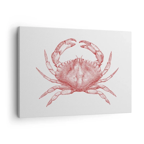 Lærredstryk - Billede på lærred - Tegning af en krabbe i en rød nuance - 70x50cm - Krabbe over krabber - Moderne vægdekoration til stue og soveværelse ARTTOR