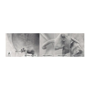 Prøve Fototapet Premium Sand - Afslør hemmeligheden - Abstraktion, Elefant, Grafik - 100x30 cm