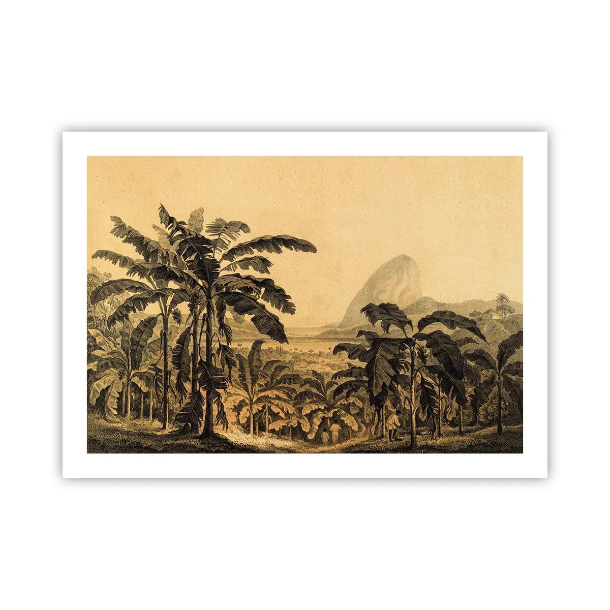 Plakat - I en kolonial atmosfære - 70x50 cm