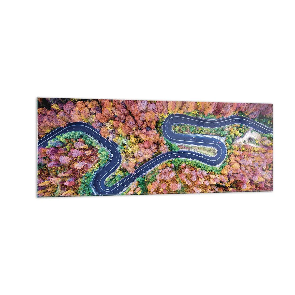 Billede på glas - En snoet vej gennem skoven - 140x50 cm