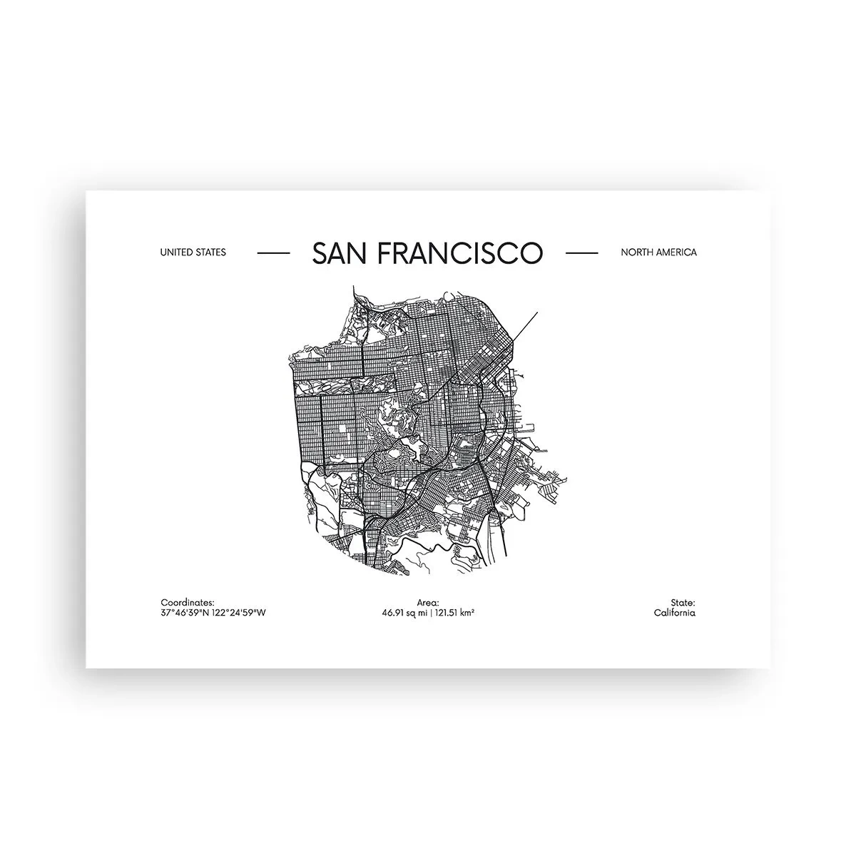 Plakat - San Franciscos anatomi - 100x70 cm
