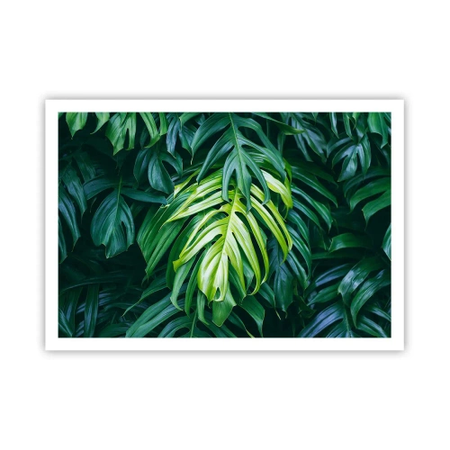 Plakat - Fordyb dig i friskhed - 100x70 cm