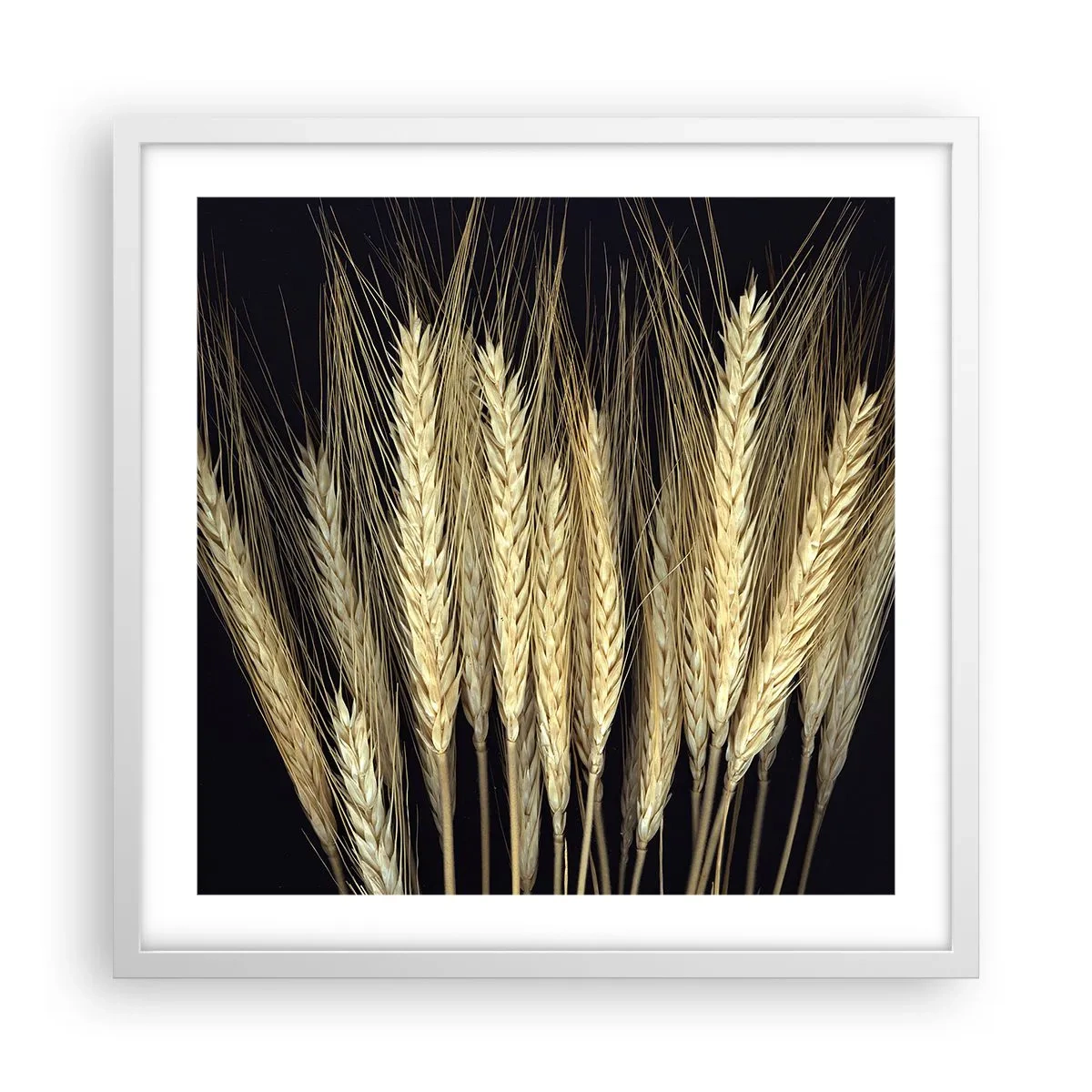 Plakat i hvid ramme - Rustik magi - 50x50 cm