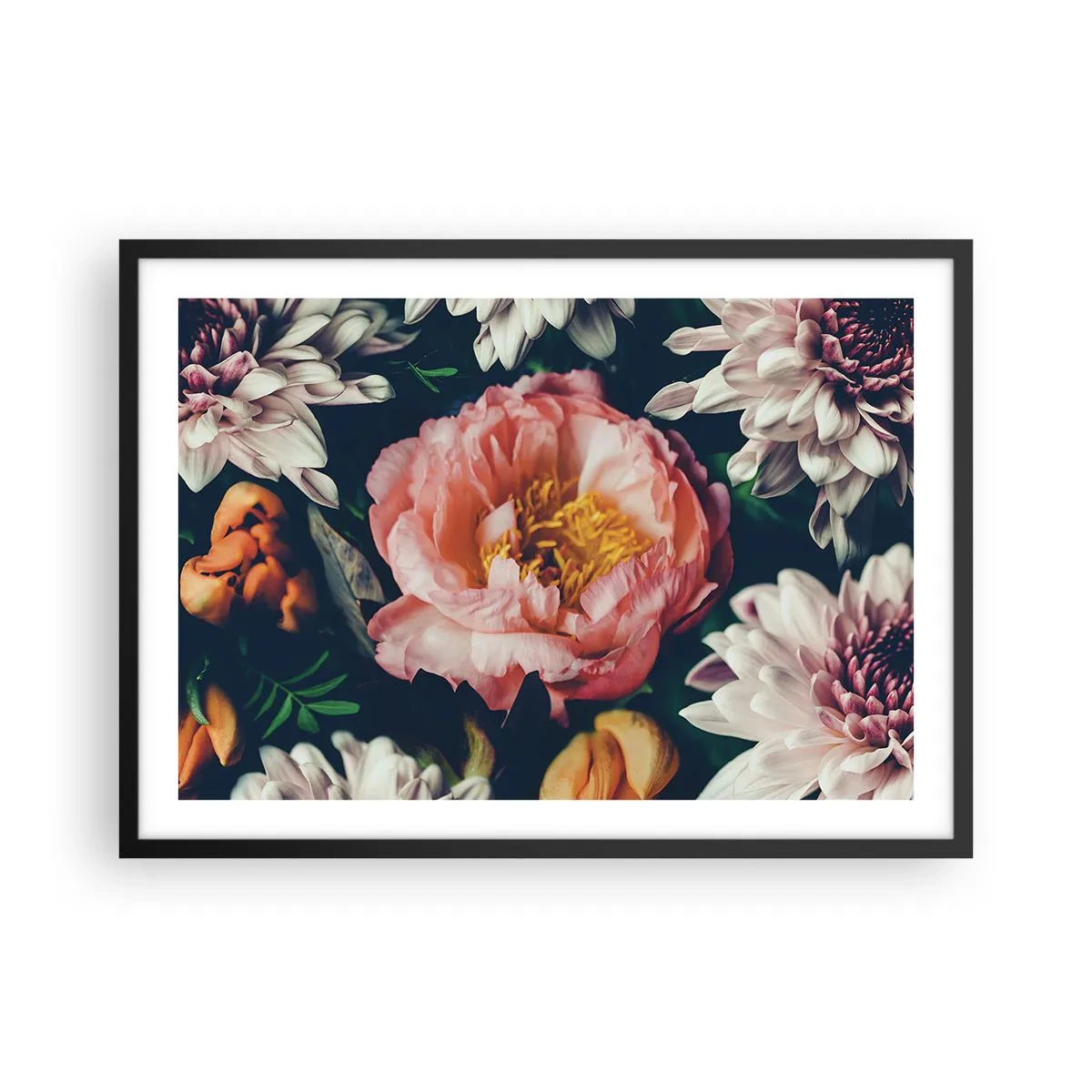 Plakat i sort ramme - Med barok pragt - 70x50 cm