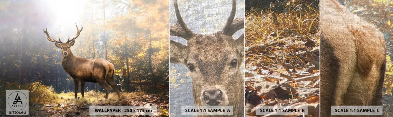 Prøve Fototapet Premium Canvas - I fuld majestæt - Landskab, Hjort, Skov - 100x30 cm