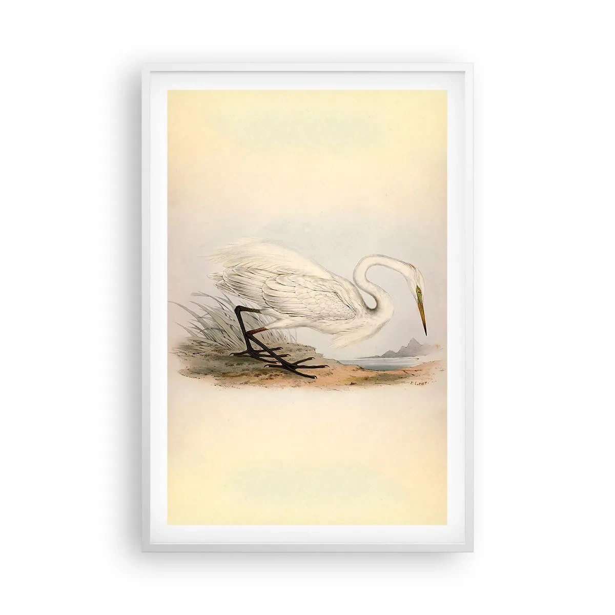 Plakat i hvid ramme - Dame på sivene - 61x91 cm