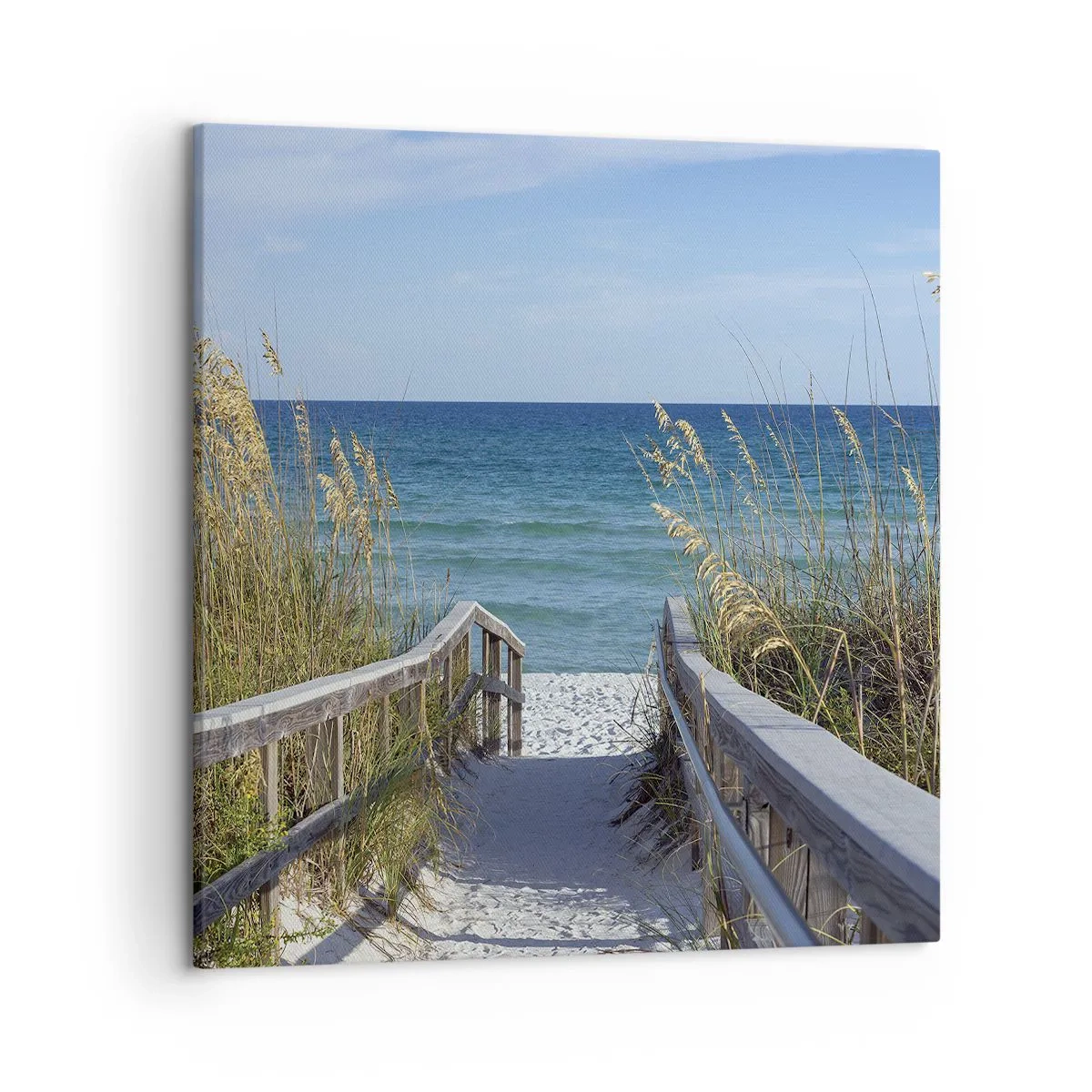 Lærredstryk - Billede på lærred - I solen, i vinden - 50x50 cm