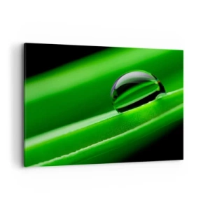 Lærredstryk - Billede på lærred - Livet på tæt hold - 100x70 cm