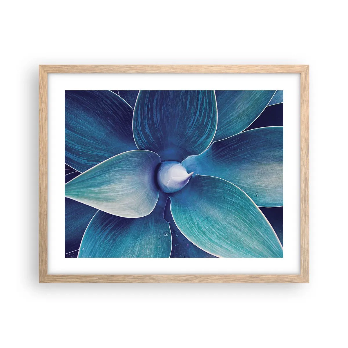 Plakat i ramme af lyst egetræ - Blå fra himlen - 50x40 cm
