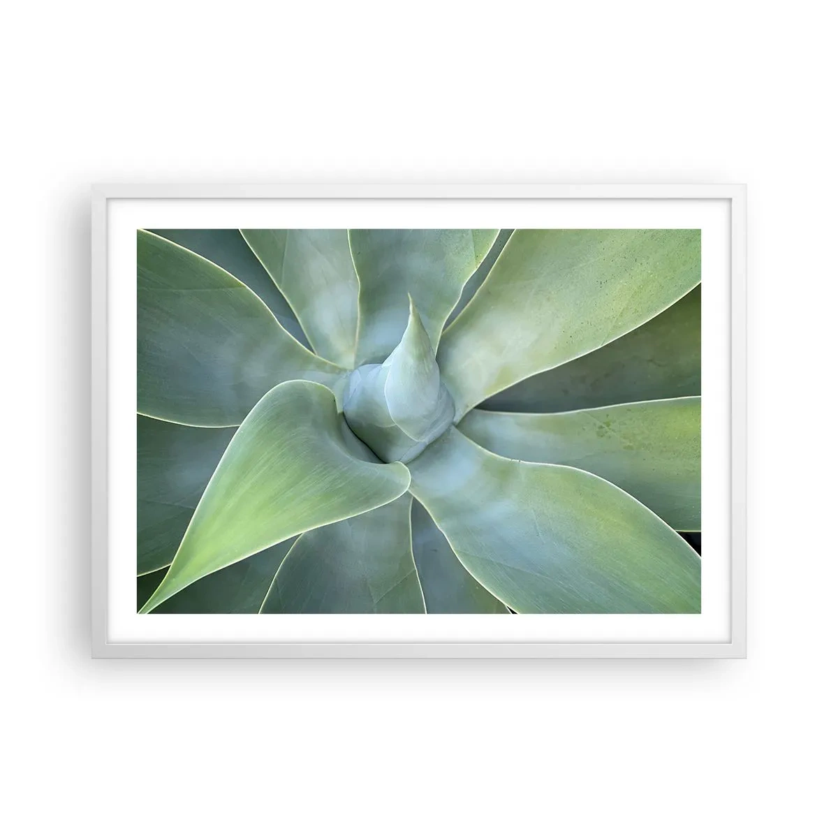 Plakat i hvid ramme - Den grønne fødsel - 70x50 cm