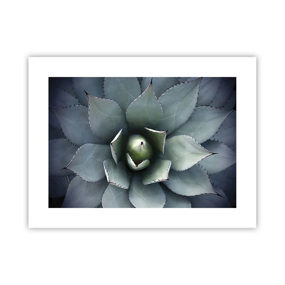 Plakat - Lokkemad og advarsler - 40x30 cm