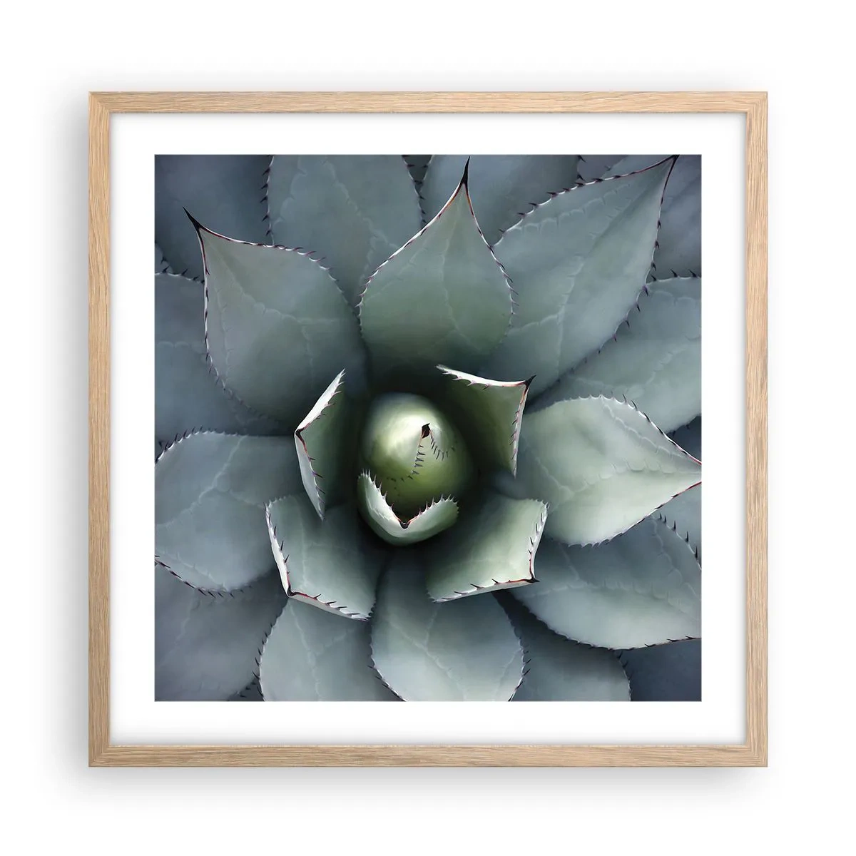 Plakat i ramme af lyst egetræ - Lokkemad og advarsler - 50x50 cm
