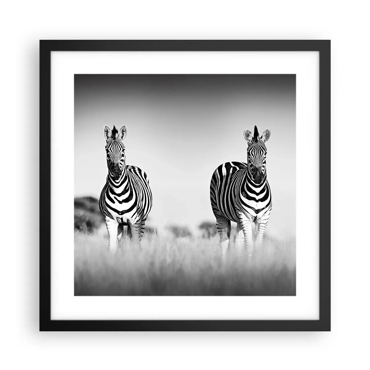 Plakat i sort ramme - Og alligevel er verden sort og hvid - 40x40 cm