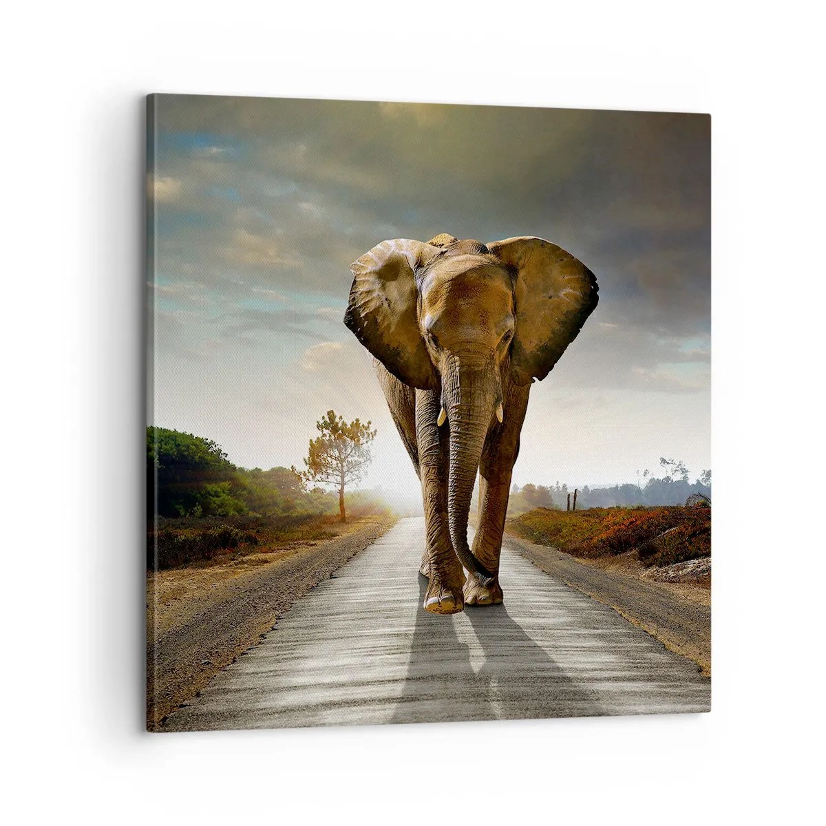 Lærredstryk - Billede på lærred - Og slet ikke i en porcelænsbutik - 60x60 cm