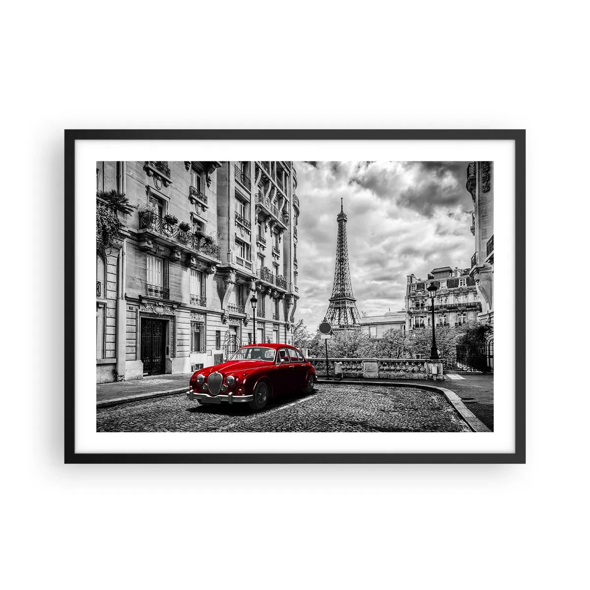 Plakat i sort ramme - Rovdyr i byen - 70x50 cm