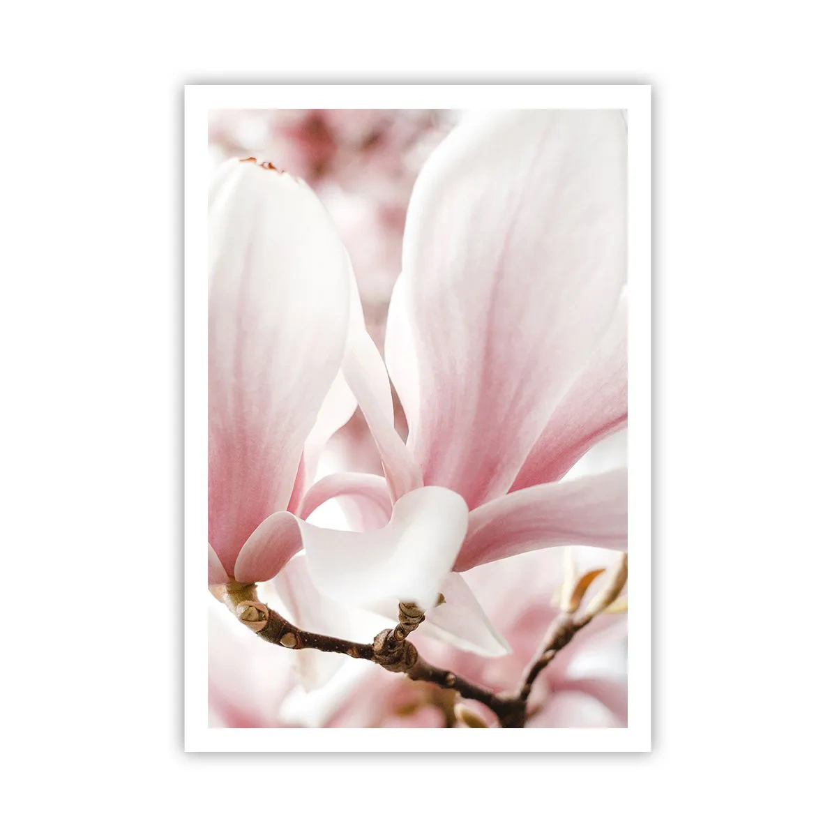 Plakat - Ømhedens umådelighed - 70x100 cm