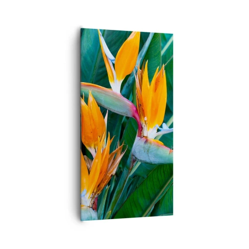 Lærredstryk - Billede på lærred - Er det en blomst eller er det en fugl? - 65x120 cm