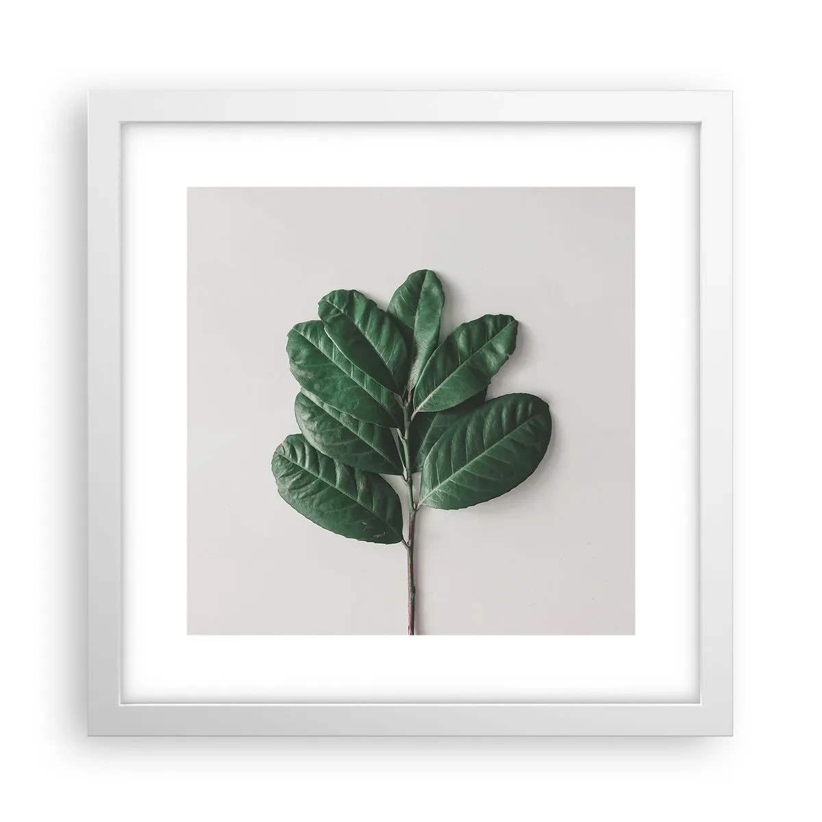 Plakat i hvid ramme - Tegning af selve naturen - 30x30 cm