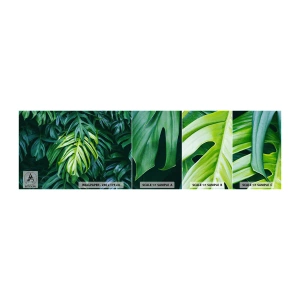 Prøve Fototapet Selvklæbende Deluxe Sticker - Fordyb dig i friskhed - Tropisk plante, Monstera blad, Natur - 100x30 cm