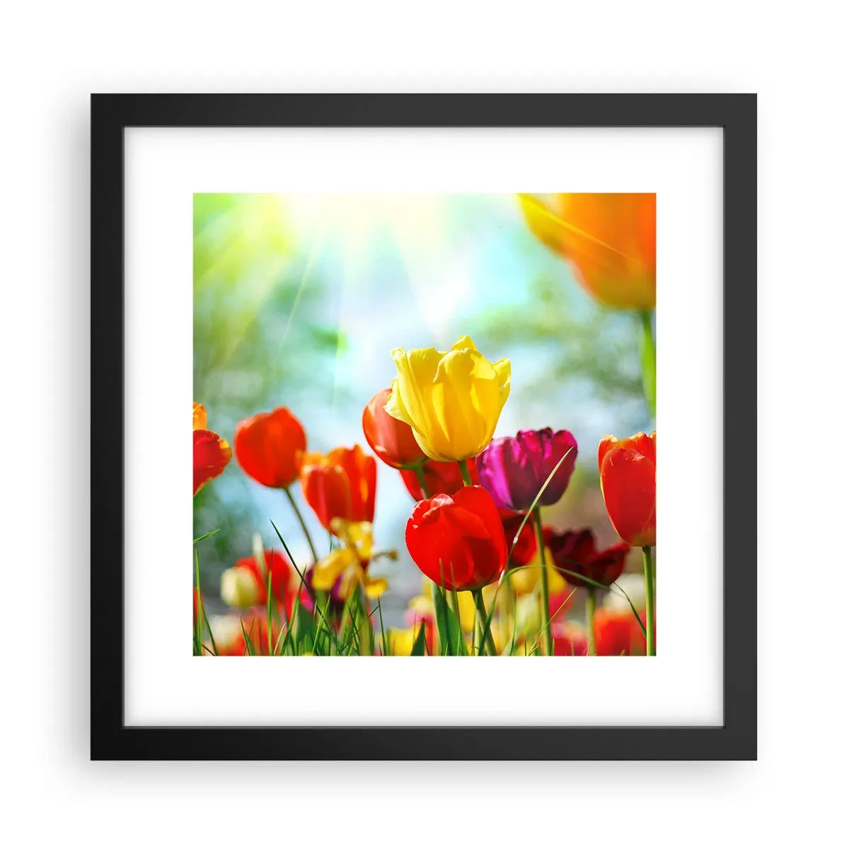 Plakat i sort ramme - Alle solens farver - 30x30 cm
