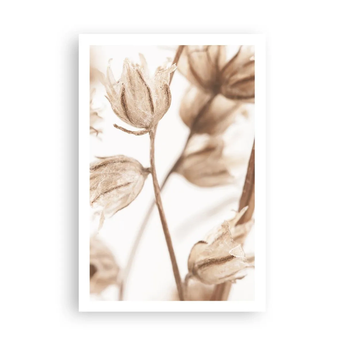 Plakat - De kalder på slutningen af sommeren - 61x91 cm