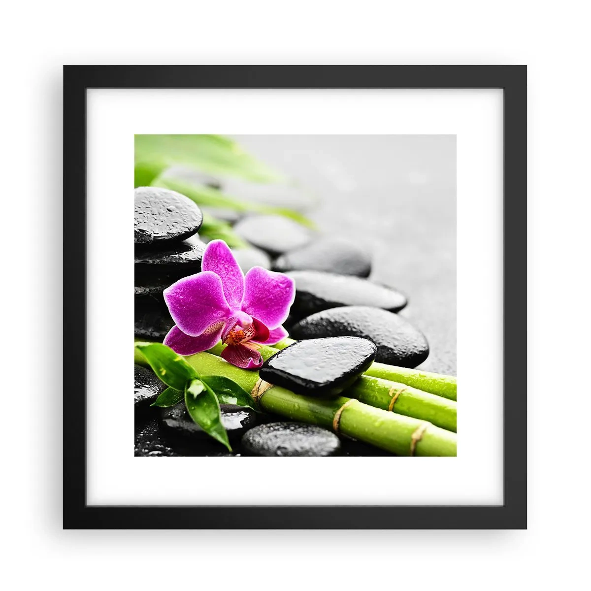 Plakat i sort ramme - I en fredelig balance - 30x30 cm