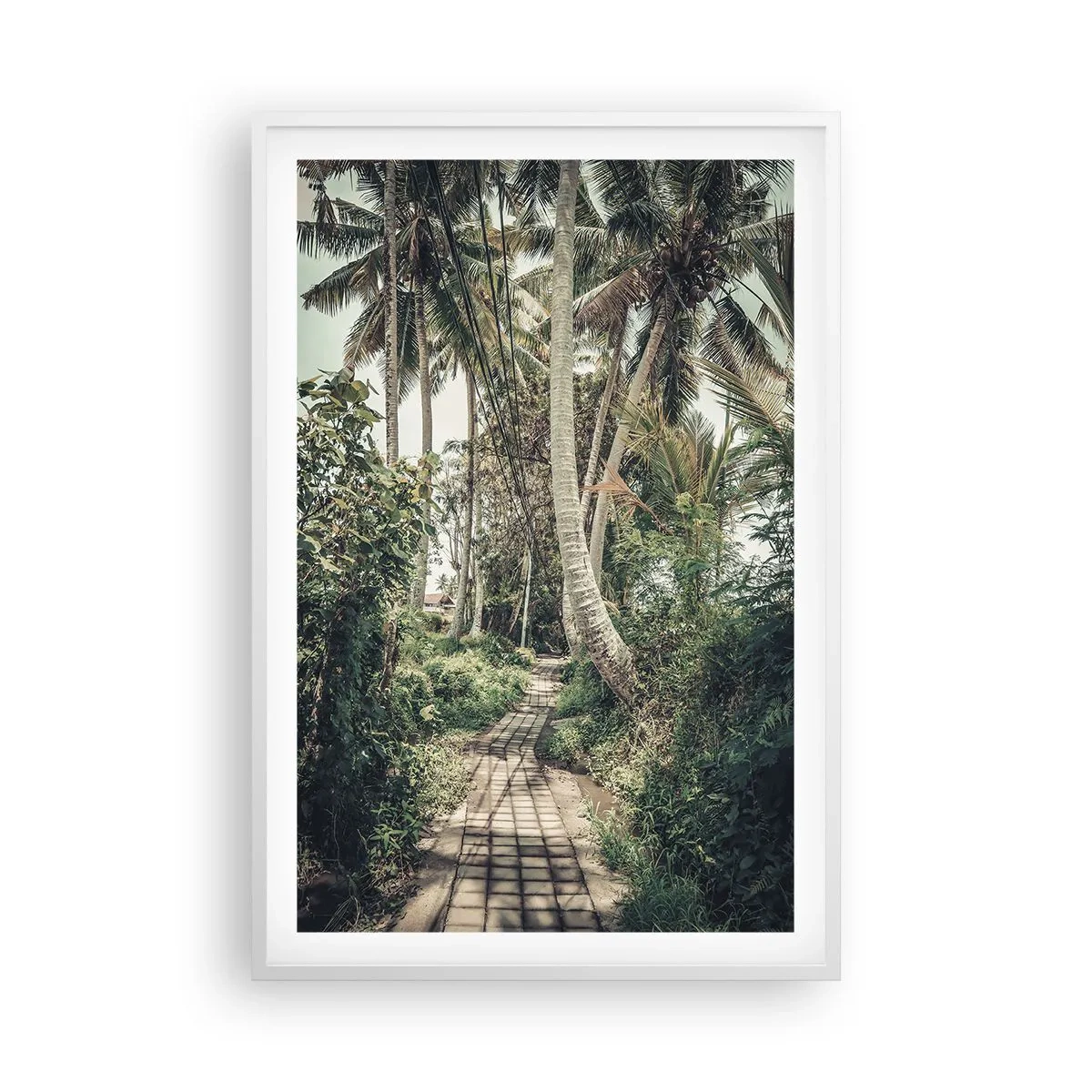 Plakat i hvid ramme - Palmeallé - 61x91 cm