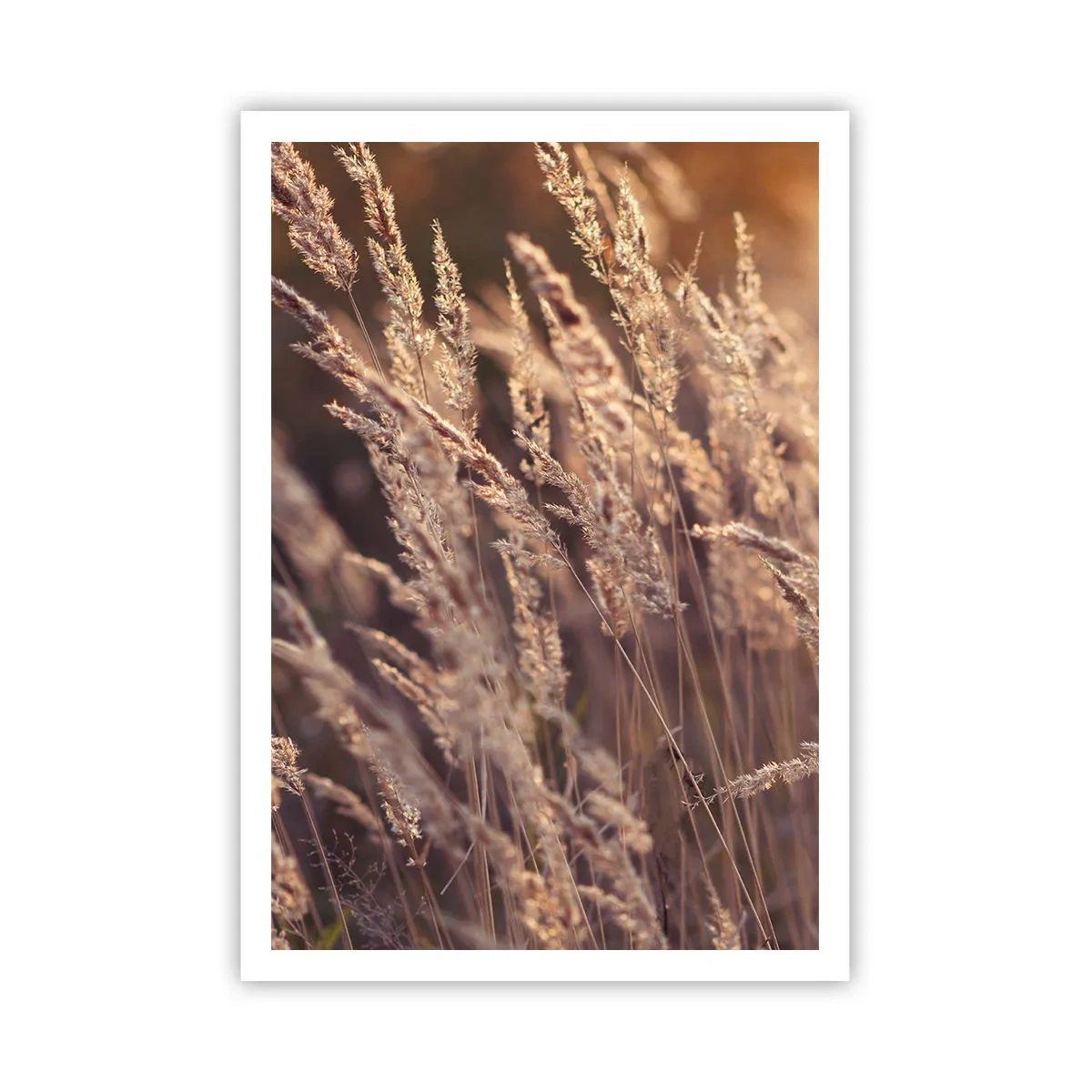 Plakat - Klar til at byde efteråret velkommen - 70x100 cm