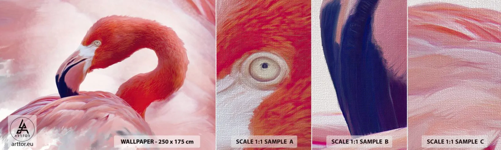 Prøve Fototapet Premium Canvas - Fugleskønhed - Flamingo, Fugl, Natur - 100x30 cm