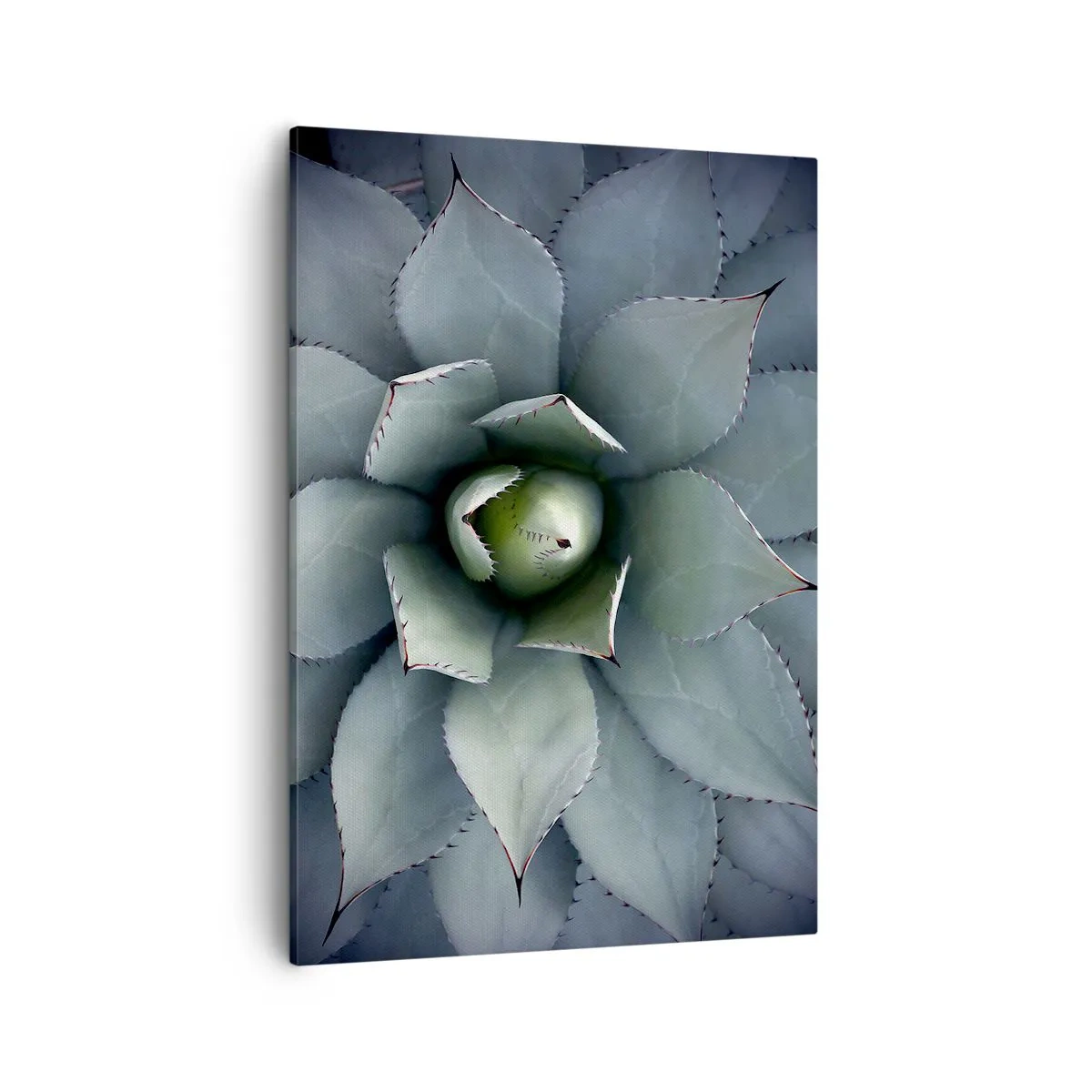 Lærredstryk - Billede på lærred - Lokkemad og advarsler - 50x70 cm