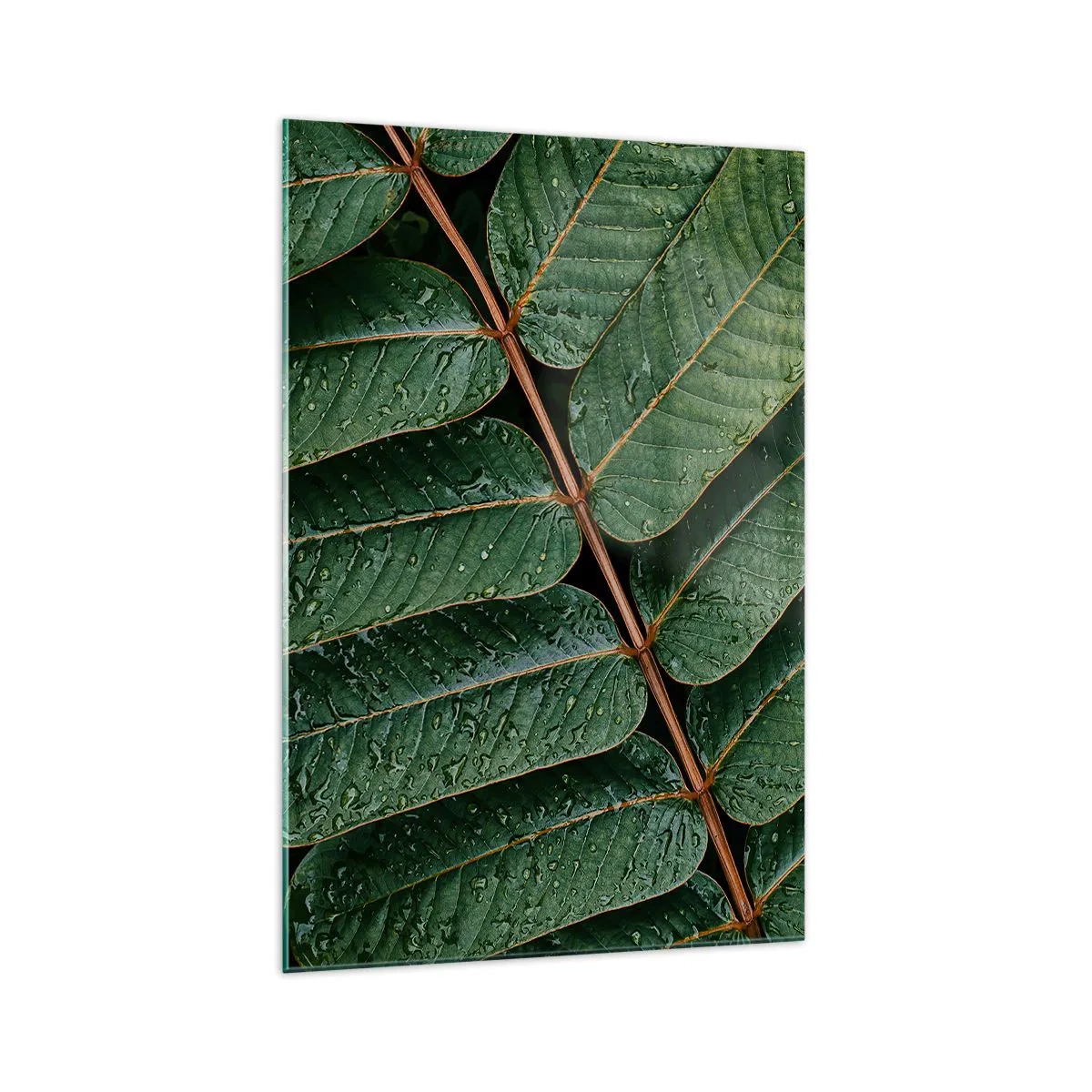 Billede på glas - I en grøn rytme - 70x100 cm