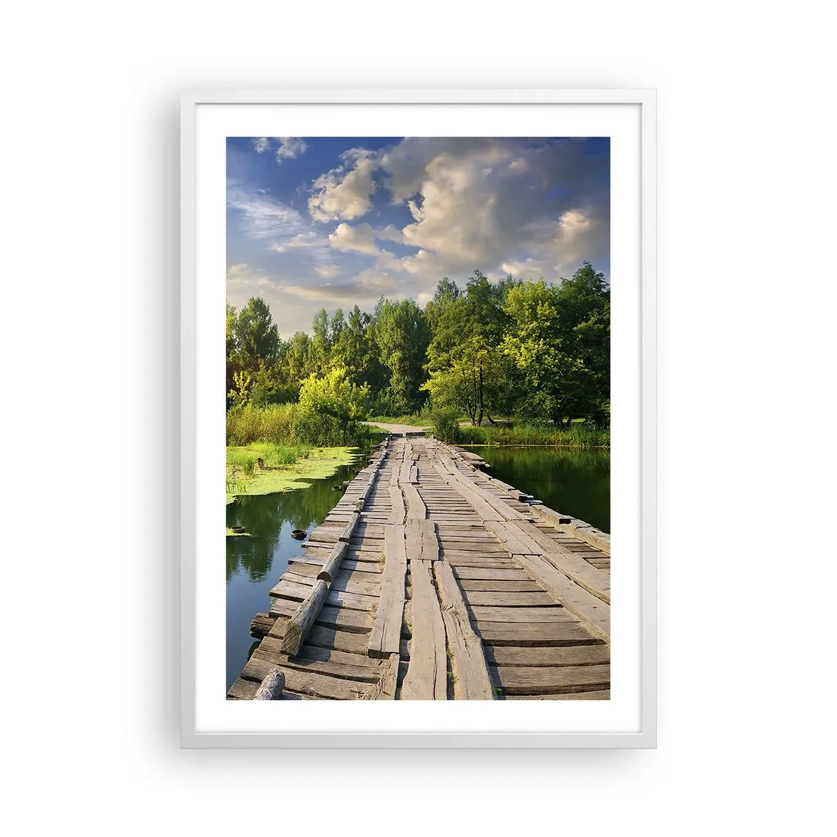 Plakat i hvid ramme - Sommer, sommer overalt - 50x70 cm