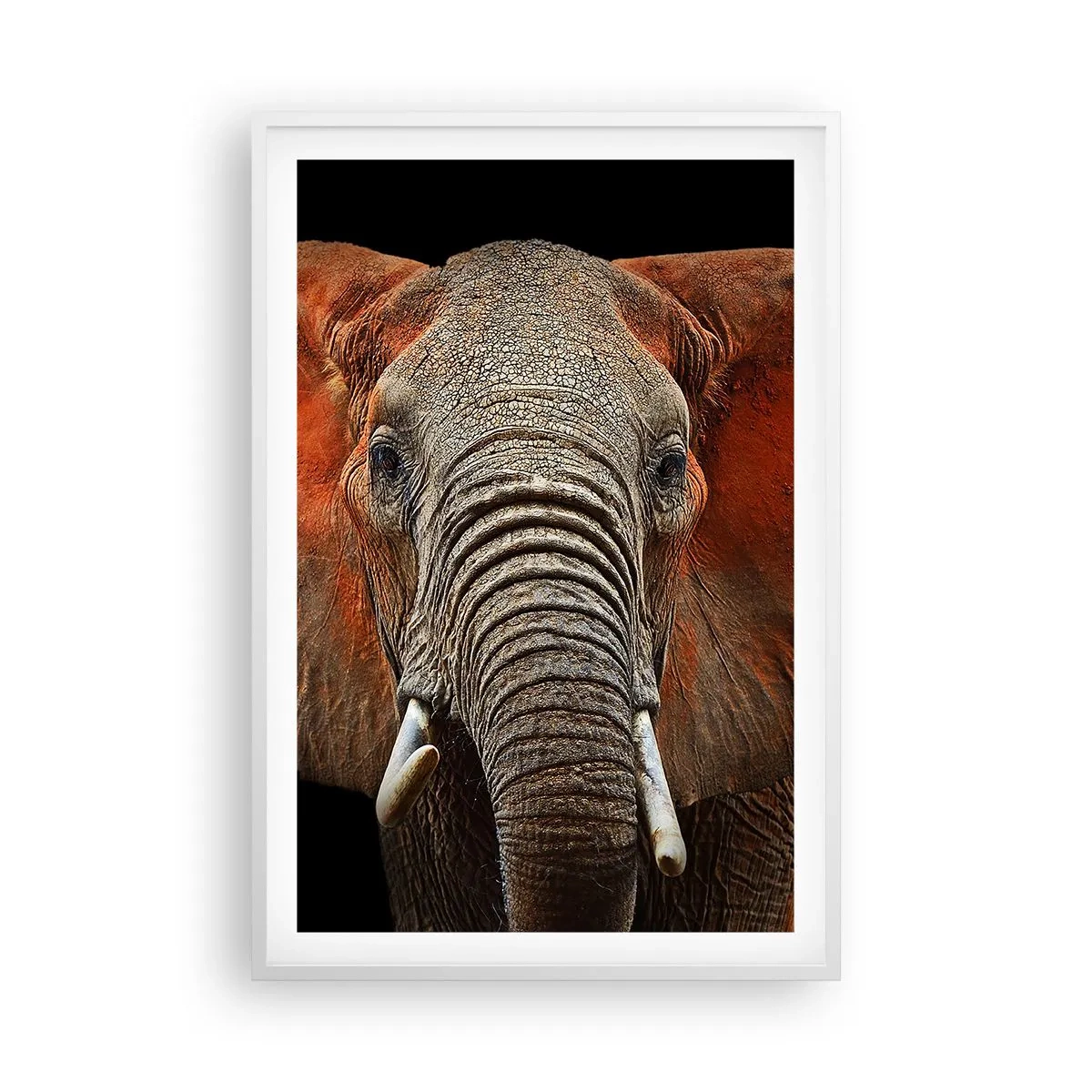 Plakat i hvid ramme - Jeg er vild, er du? - 61x91 cm