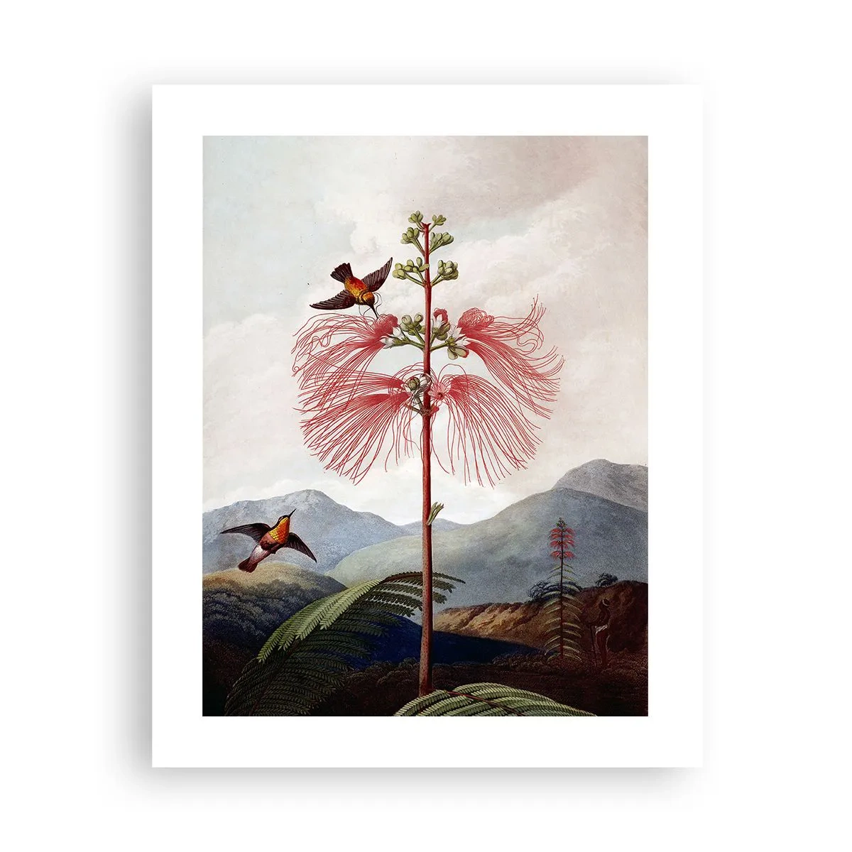 Plakat - I et tropisk paradis - 40x50 cm