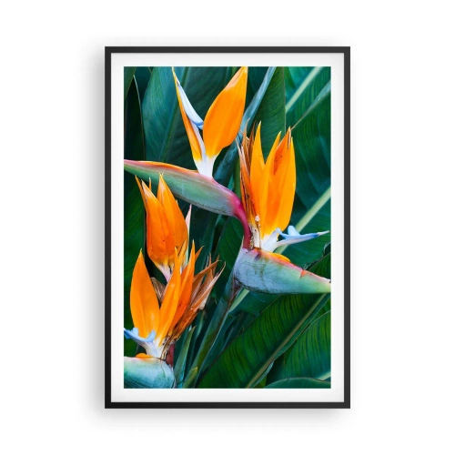 Plakat i sort ramme - Er det en blomst eller er det en fugl? - 61x91 cm