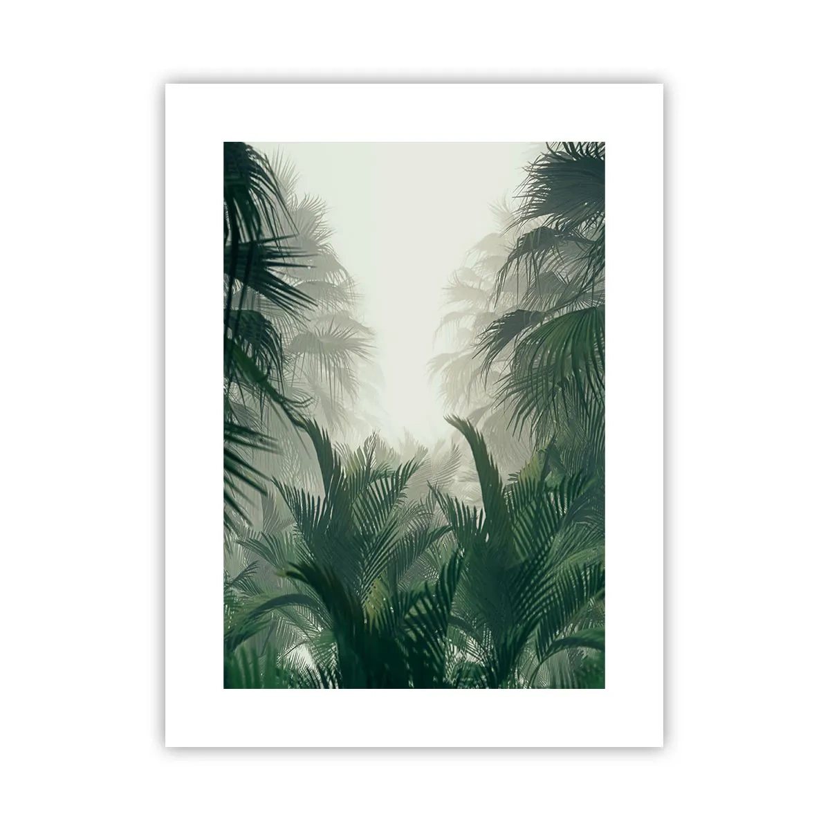 Plakat - Tropisk mysterium - 30x40 cm