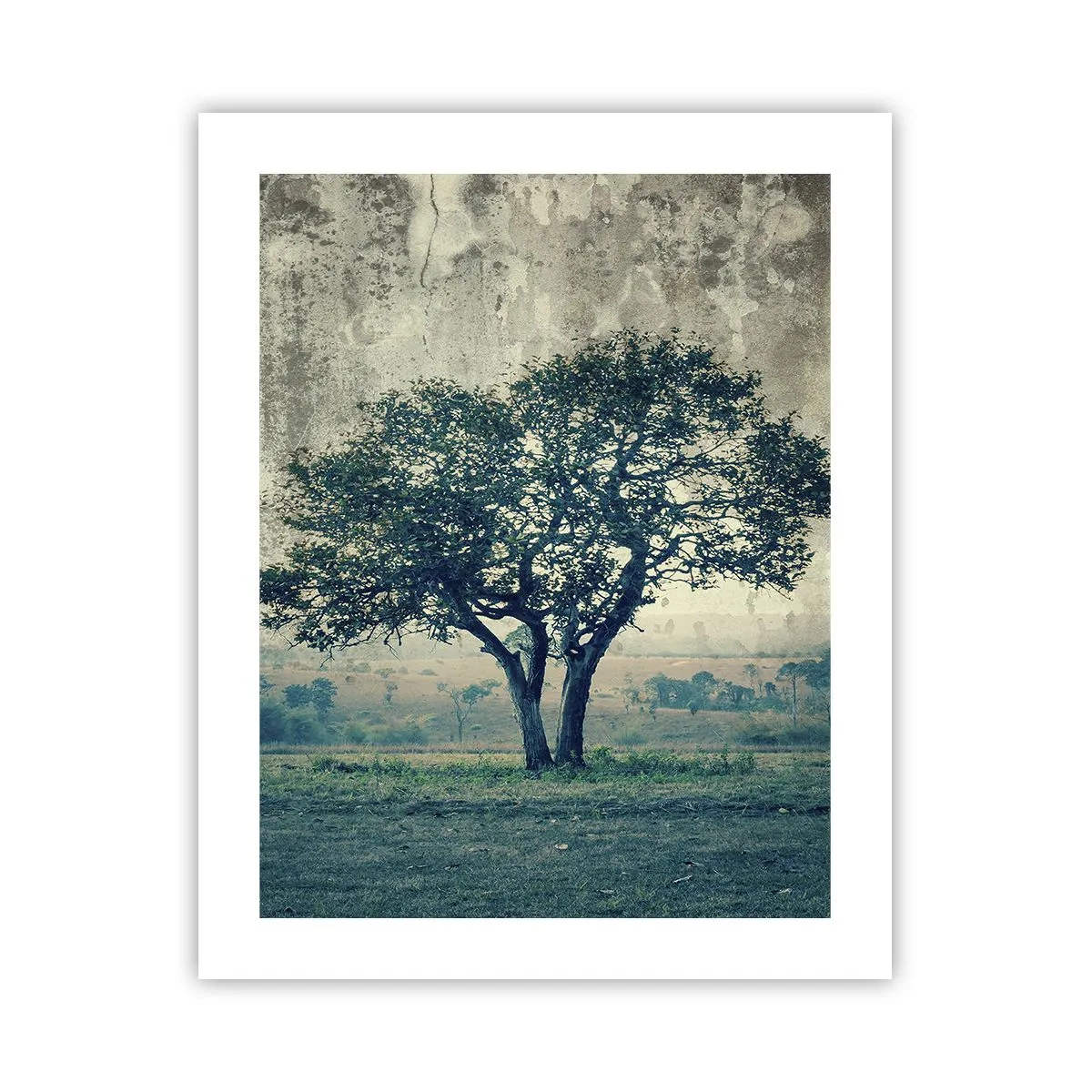 Plakat - Et æbletræ på en blå membran? - 40x50 cm